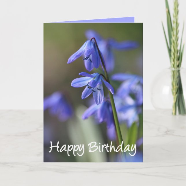 Blue Scilla siberica (Wood Squill) Flowers Card (Front)