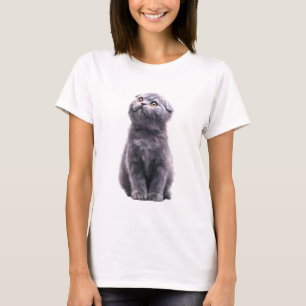 Blue Scottish Fold Kitten Portrait Women T-Shirt