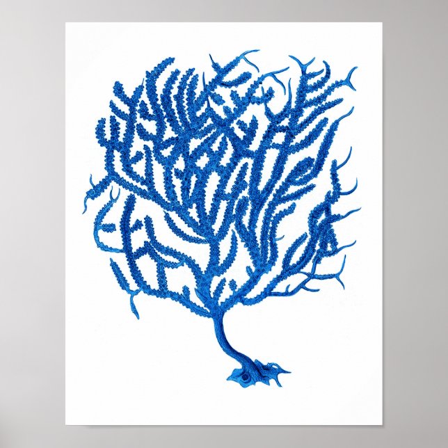 Blue Sea Coral Print #10 Home Decor Art (Front)