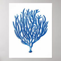 Blue Sea Coral Print #1 Beach Wall Art