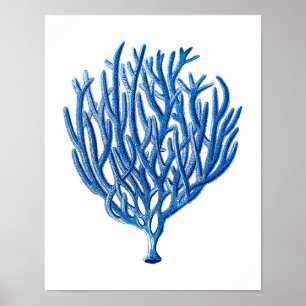 Blue Sea Coral Print #1 Beach Wall Art