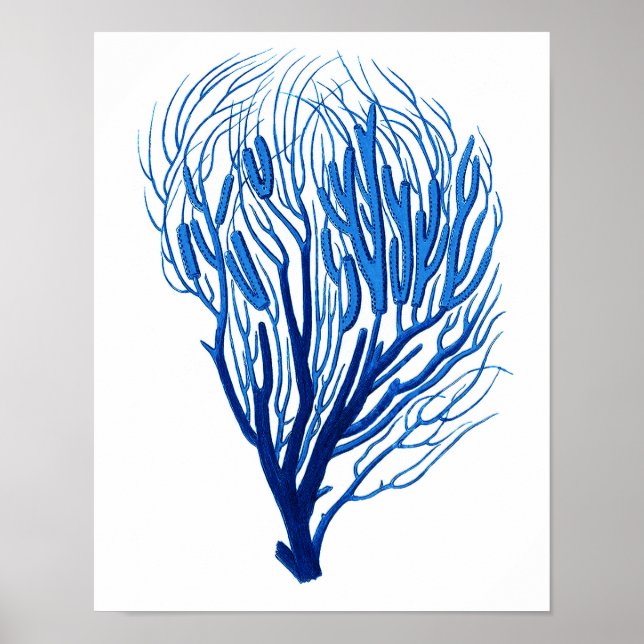 Blue Sea Coral Print # 7 Beach Wall Decor (Front)