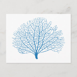blue sea fan coral silhouette postcard