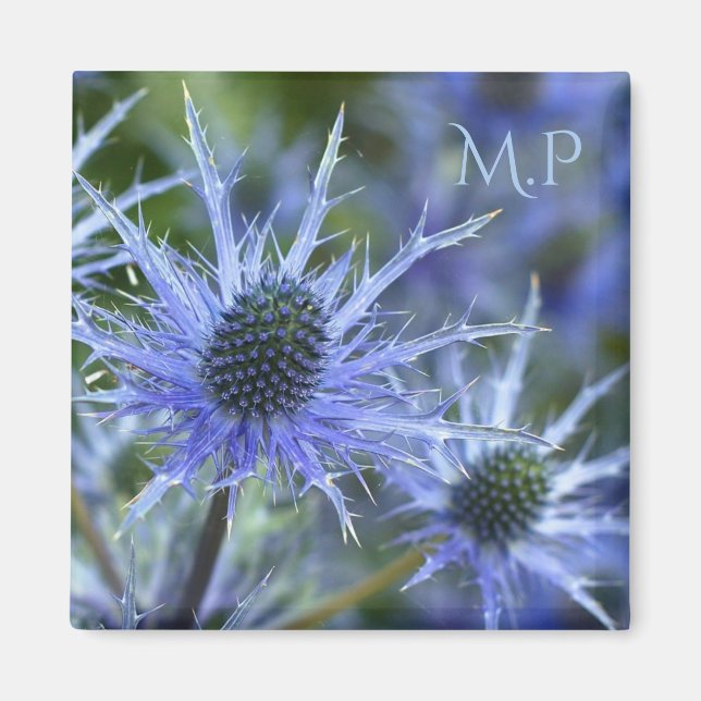 Blue Sea Holly Magnet (Front)
