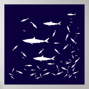 blue sea sharks poster