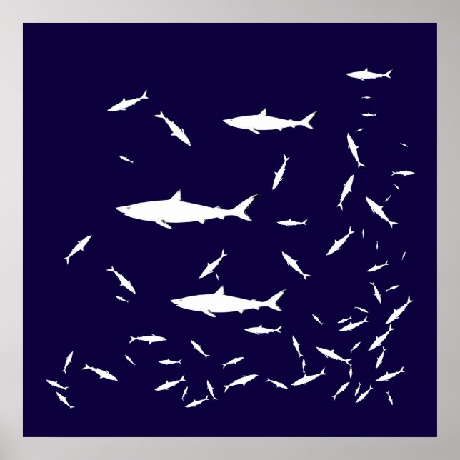 blue sea sharks poster (Front)