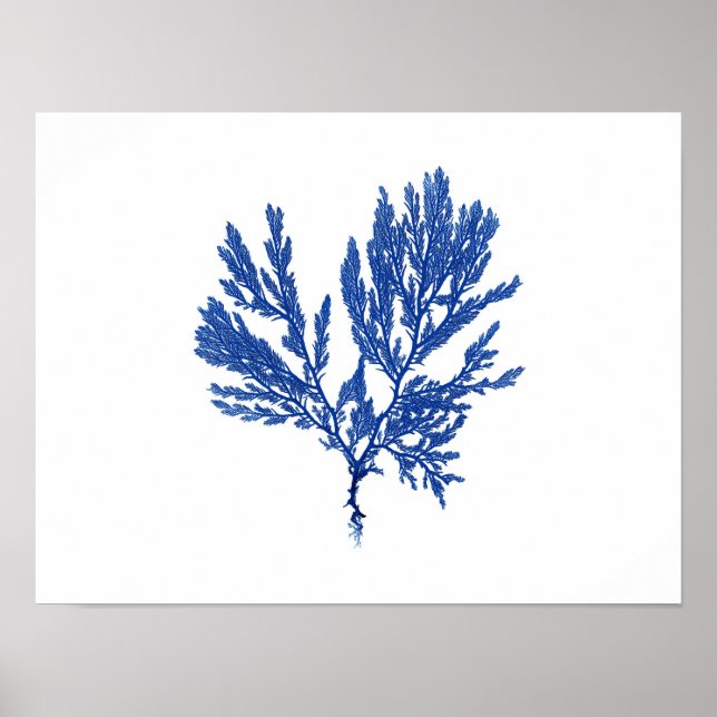 Blue Seaweed #4 42x32cm Poster (Front)