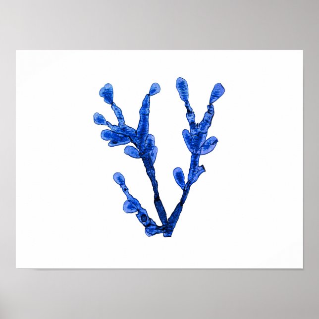 Blue Seaweed #8 42x32 cm Beach Wall Decor (Front)