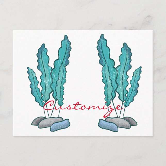 Blue Seaweed Algae Thunder_Cove Postcard (Front)