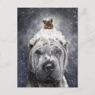 Blue Shar Pei in the snow with a little mouse Postcard