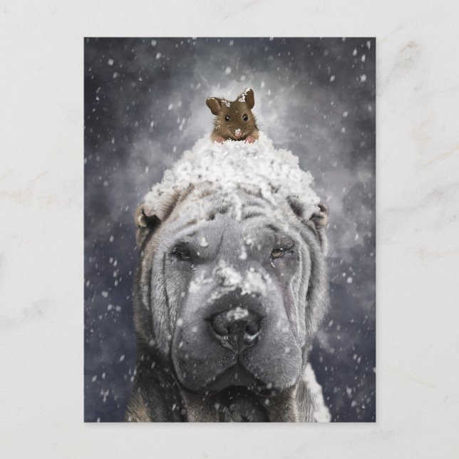 Blue Shar Pei in the snow with a little mouse Postcard (Front)