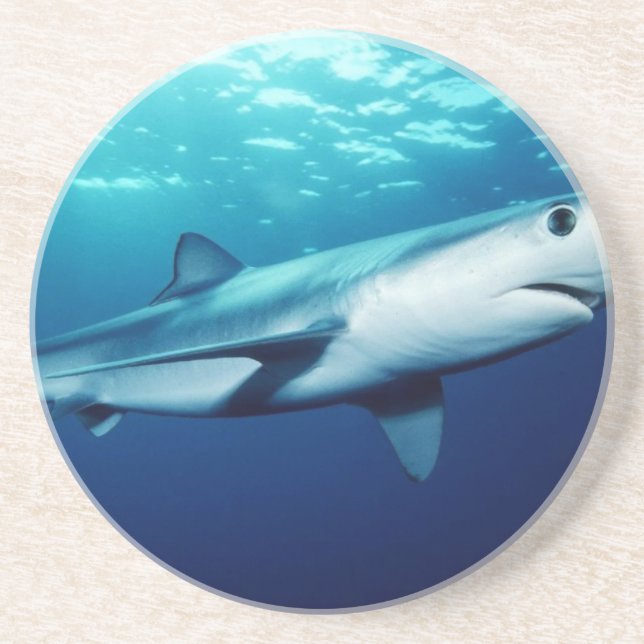 Blue Shark Coaster (Front)
