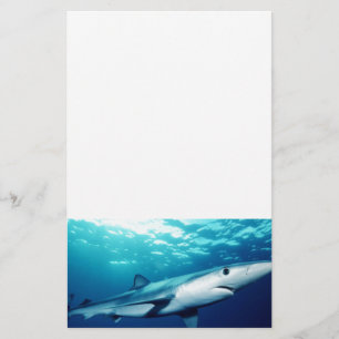 Blue Shark Stationery