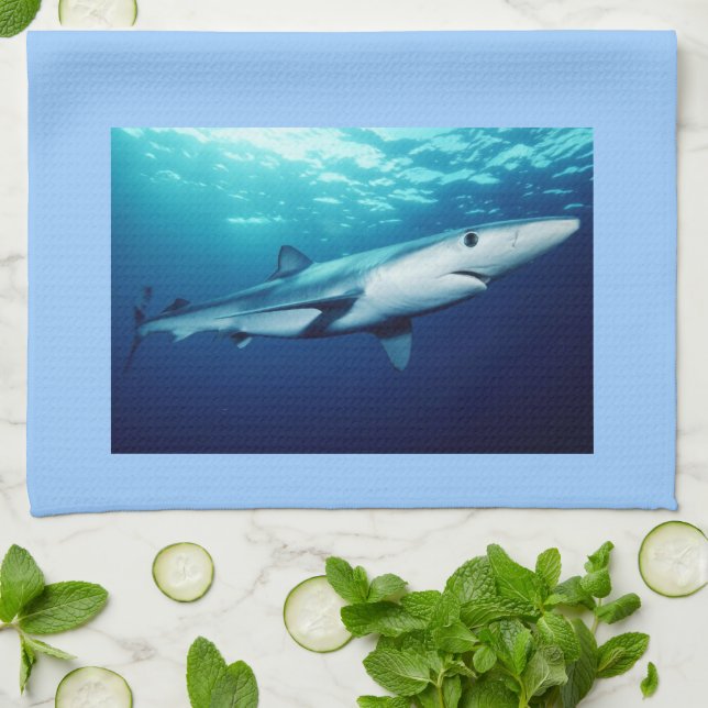 Blue Shark Tea Towel (Folded)