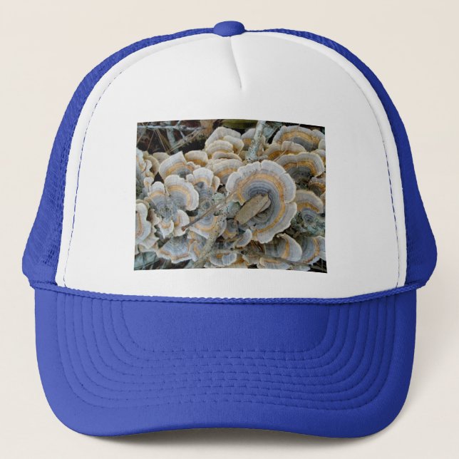 Blue Shelf Fungus Hat (Front)
