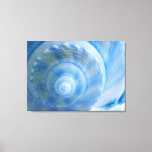 Blue Shell Abstract Digital Art Canvas Print