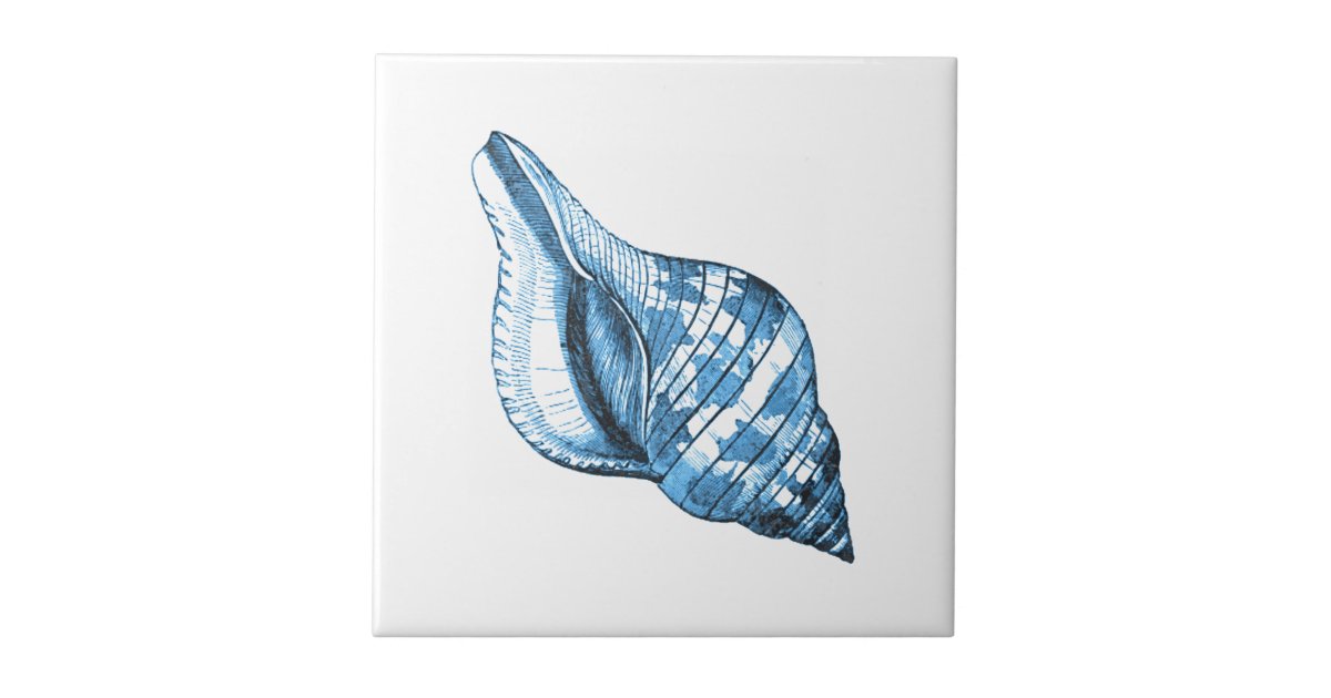 Blue shell nautical coastal ocean beach gifts tile | Zazzle