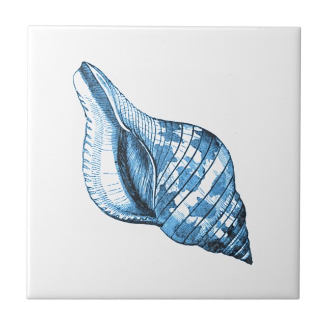 Blue shell nautical coastal ocean beach gifts tile (Front)