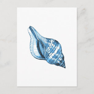 Blue shell nautical coastal ocean gifts postcard