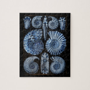 Blue Shells Jigsaw Puzzle