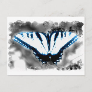 Blue Shock Butterfly Postcard