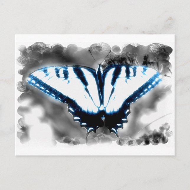 Blue Shock Butterfly Postcard (Front)