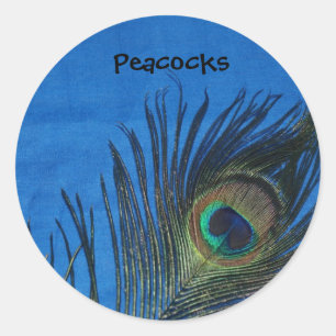 Blue Single Peacock Feather Classic Round Sticker