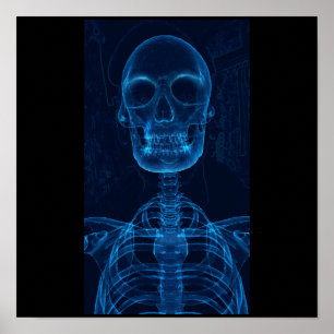Blue skeleton poster
