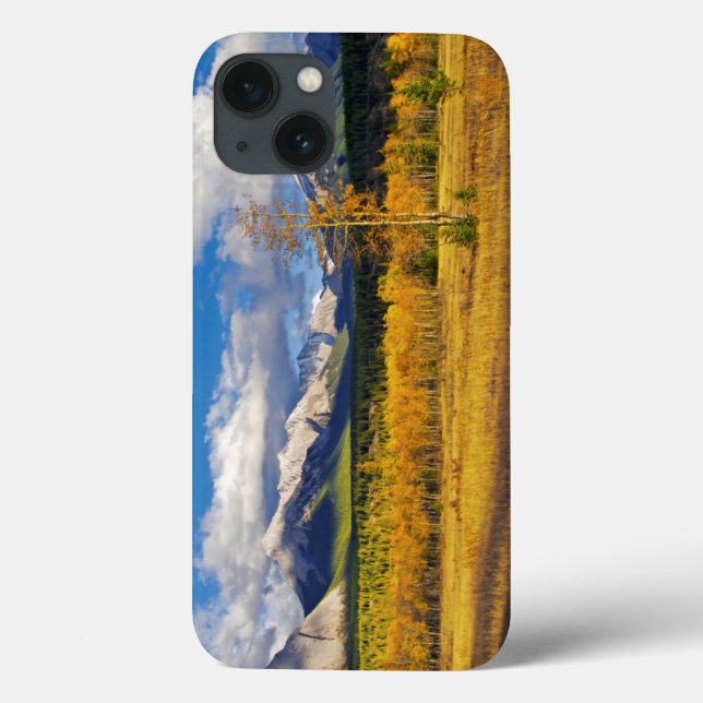Blue skies and clouds above a meadow Case-Mate iPhone case (Back)