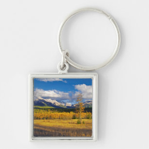 Blue skies and clouds above a meadow key ring