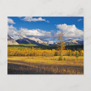 Blue skies and clouds above a meadow postcard