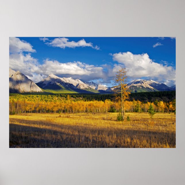 Blue skies and clouds above a meadow poster (Front)