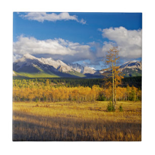Blue skies and clouds above a meadow tile