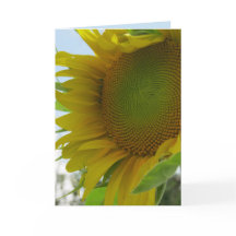Blue Skies and Friendly Flower Sunflower Card