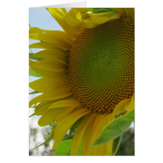Blue Skies and Friendly Flower Sunflower Card