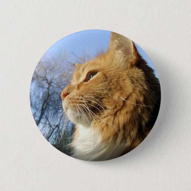 Blue Skies Cat button (Front)
