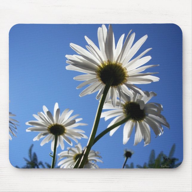 Blue Skies Mouse Mat (Front)