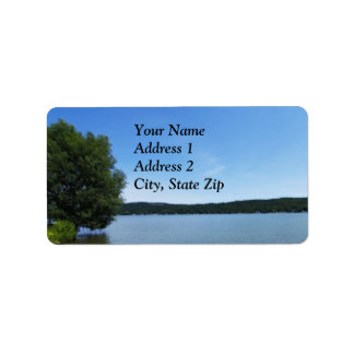 Blue Skies over Otisco Lake Label