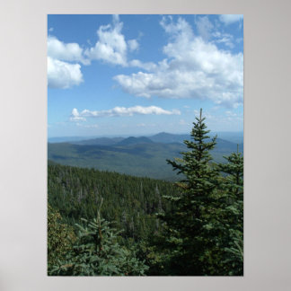 Blue Skies Poster
