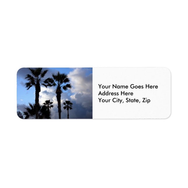 Blue Sky and Palm Trees (Front)