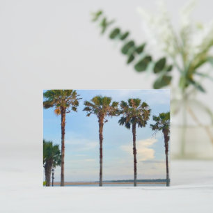 Blue Sky and Trees Postcard