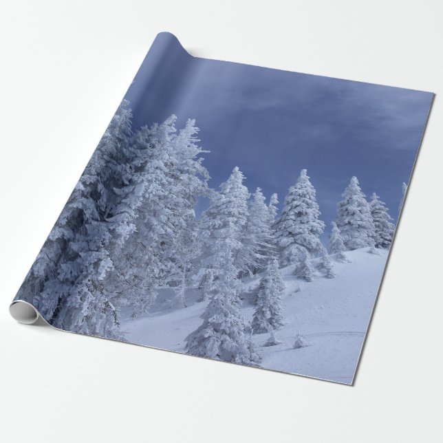 Blue sky at winter wrapping paper (Unrolled)