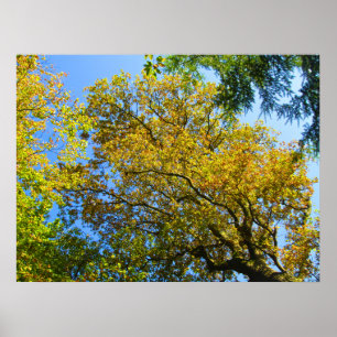 Blue Sky & Autumn Foliage - Personalised Poster
