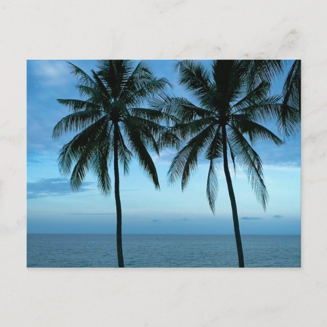 Blue Sky Blue Ocean Postcard (Front)