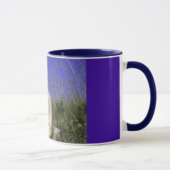 Blue Sky Buddha Mug (Right)
