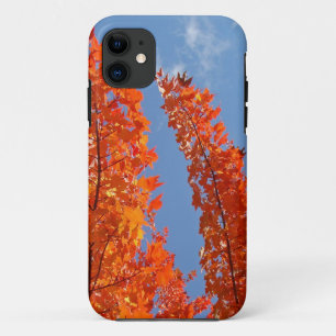 Blue Sky Cell Phone covers Orange Fall Leaves