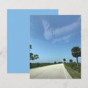 Blue Sky Florida Highway Palms Scrapbook Paper