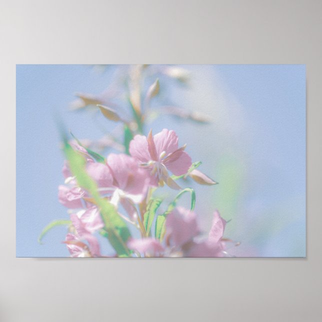 Blue Sky Green Plant Leaves Purple Flowers Poster (Front)