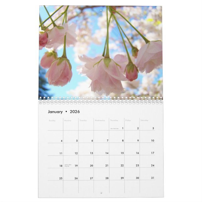 Blue Sky Pink Spring Calendar Nature Trees Flowers (Jan 2026)