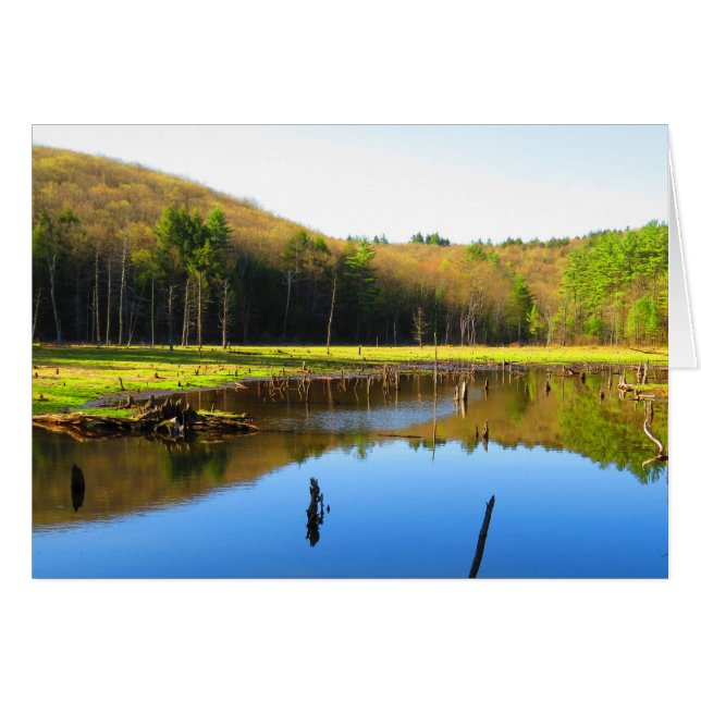 Blue Sky Reflection (Front Horizontal)